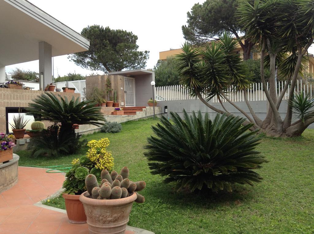 Acquamarina Otel Civitavecchia Dış mekan fotoğraf